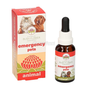 Emergency Pets Emozioni intense, paura ed esperienze negative